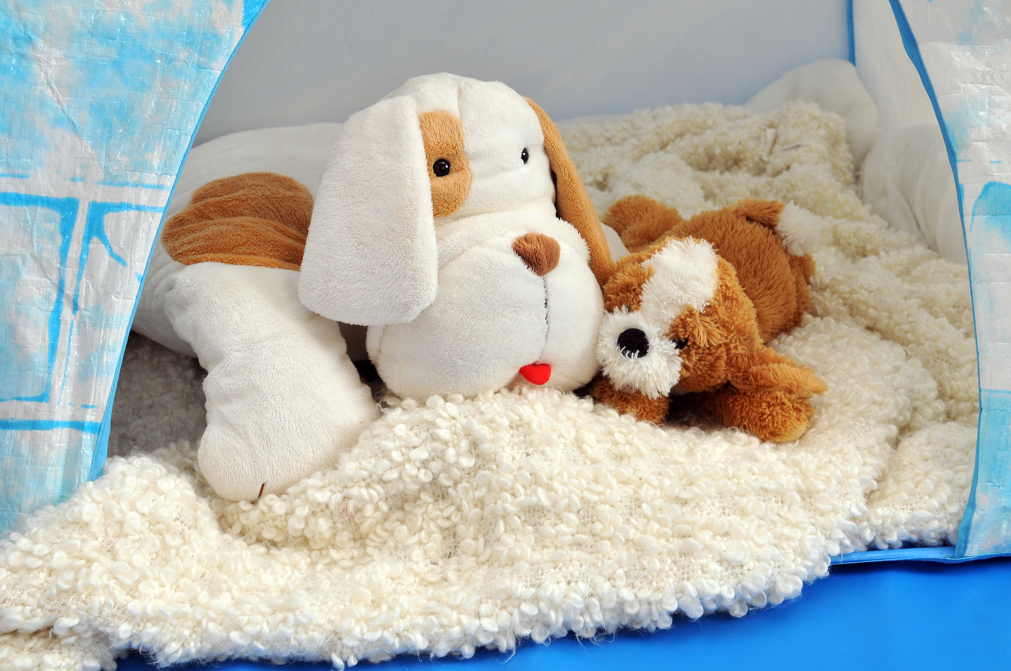 Photo of stuffed toys